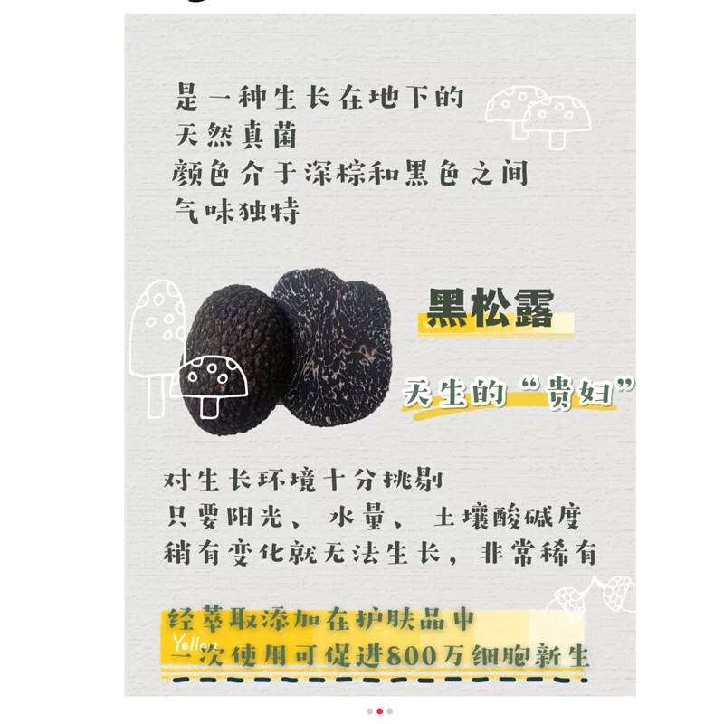 黑松露在护肤上的功效