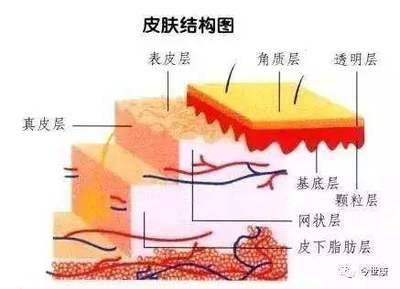 角质层薄多久用一次去角质的