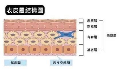 身体需要去角质吗